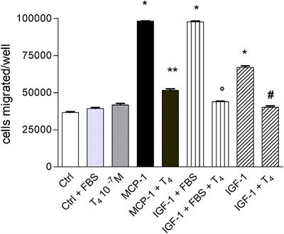 Inhibition by Thyroid Hormones of Cell Migration Activated by IGF-1 and MCP-1 in THP-1 Monocytes: Focus on Signal Transduction Events Proximal to Integrin αvβ3